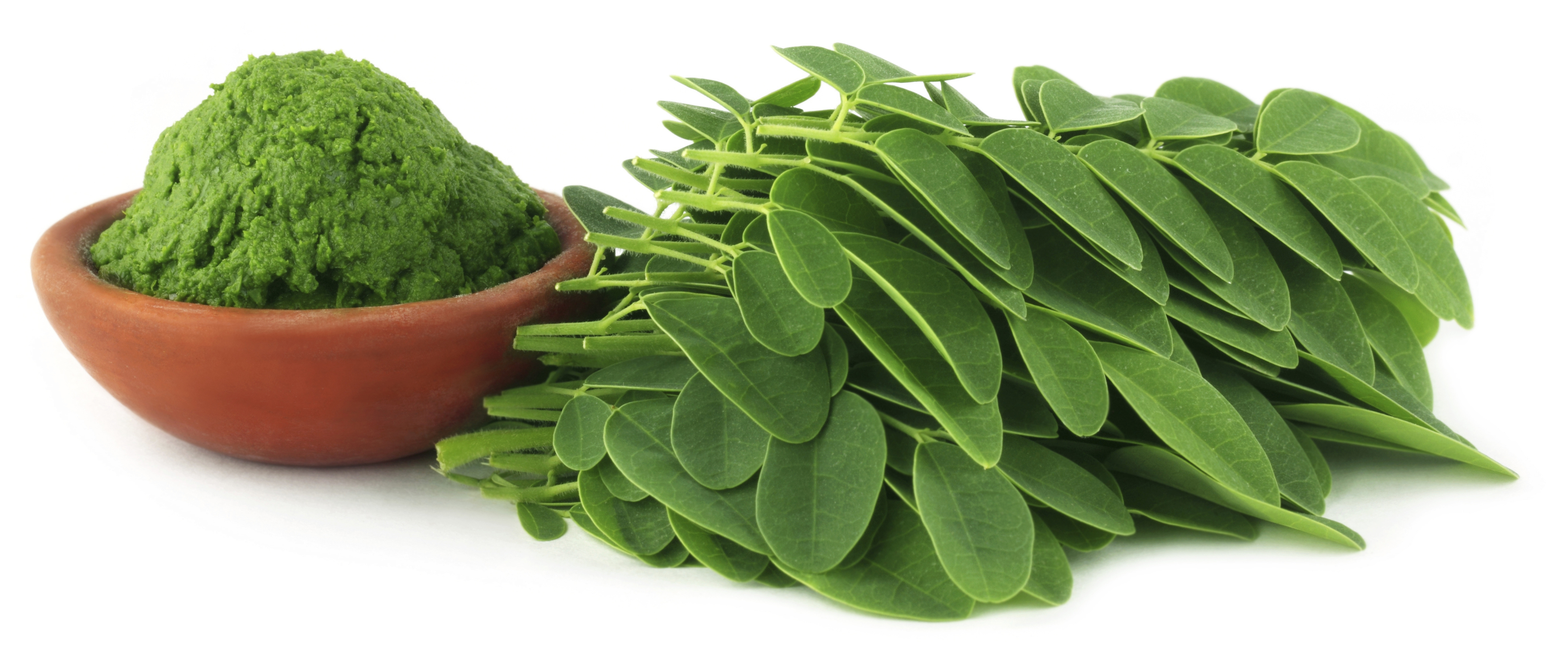 Moringa leaves with paste